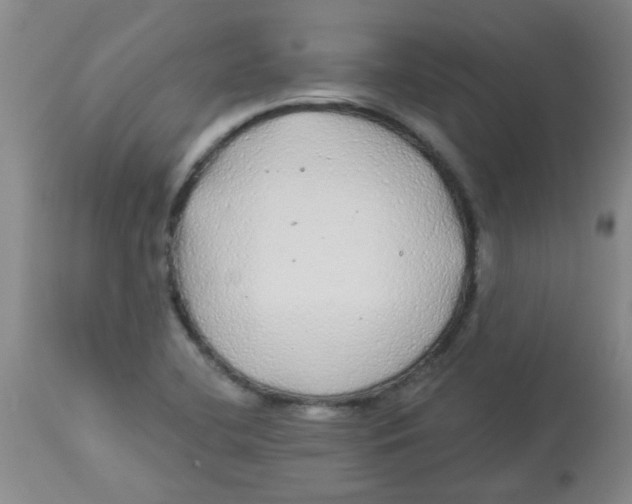 X0000113961412200910232019