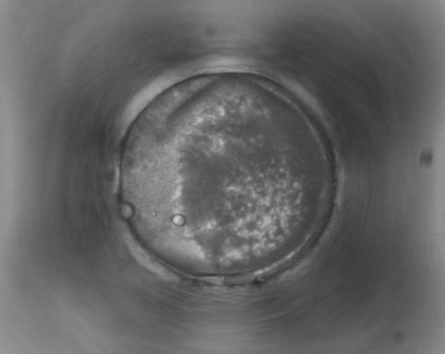 X0000113961413200910232019