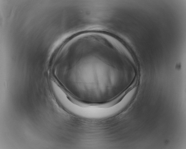 X0000113961414200910232019