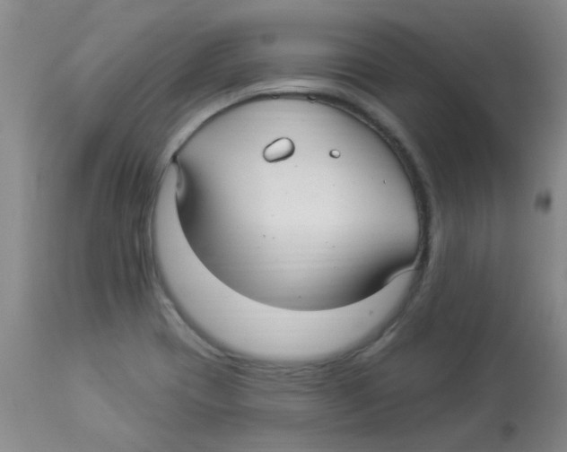 X0000113961417200910232019