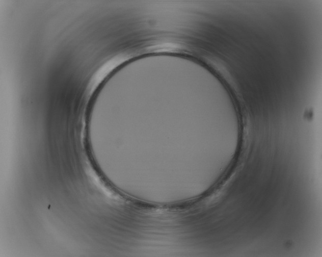 X0000113961418200910232019