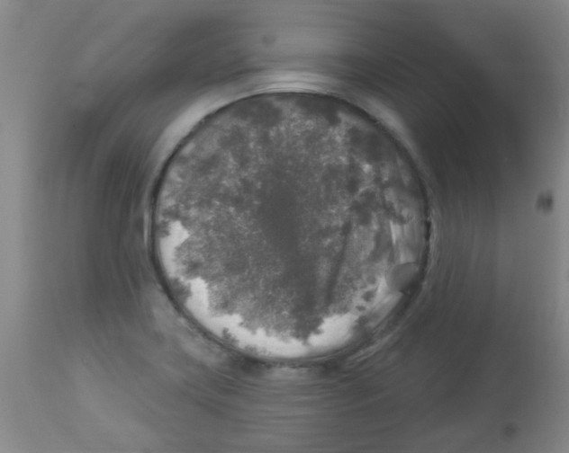 X0000113961419200910232019