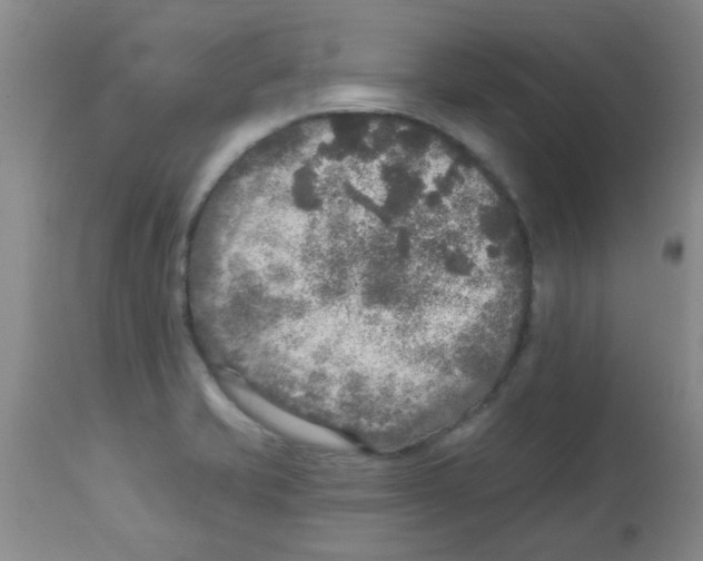 X0000113961421200910232019