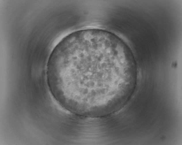 X0000113961423200910232019