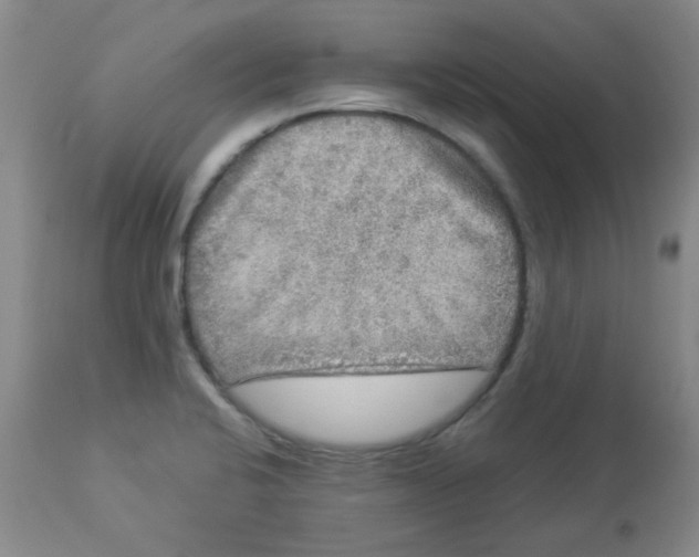 X0000113961424200910232019