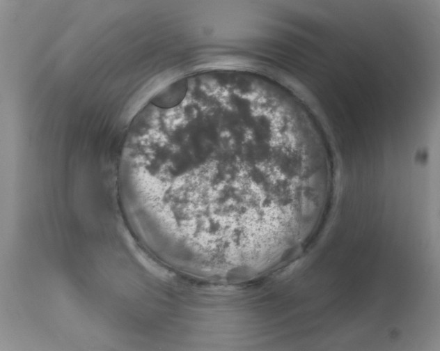 X0000113961425200910232019