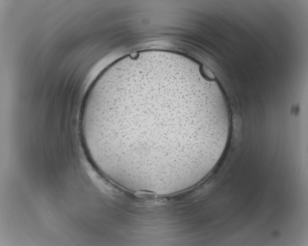 X0000113961426200910232019