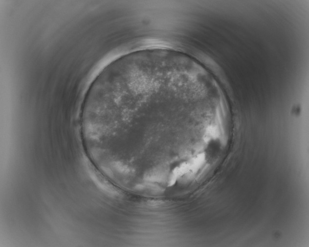 X0000113961427200910232019