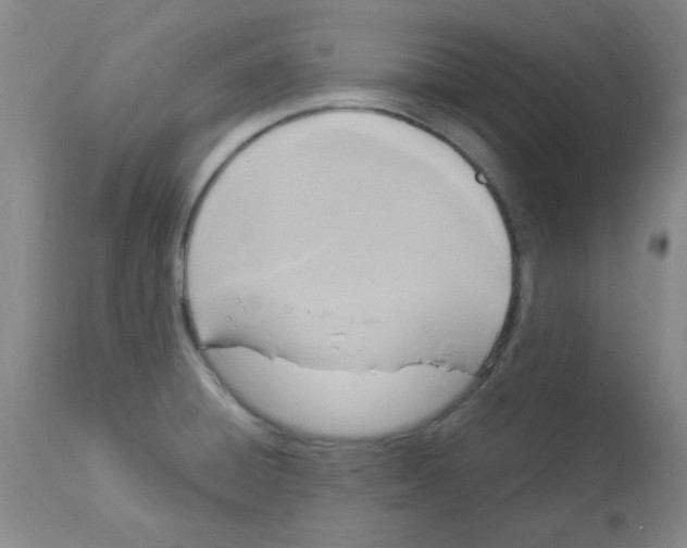 X0000113961428200910232019