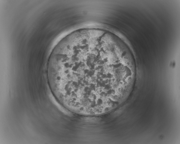 X0000113961429200910232019