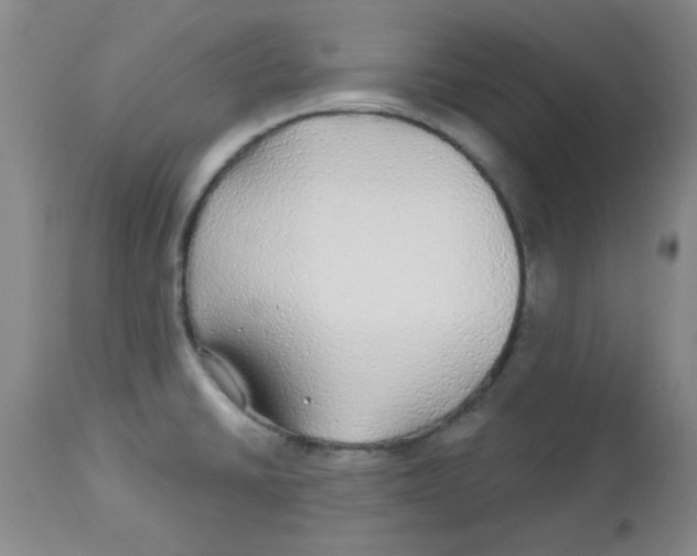 X0000113961430200910232019