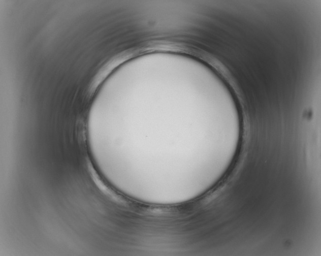 X0000113961433200910232019