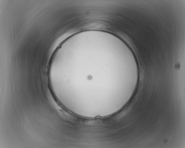 X0000113961434200910232019