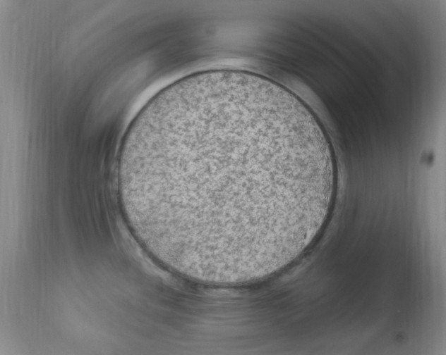 X0000113961436200910232019