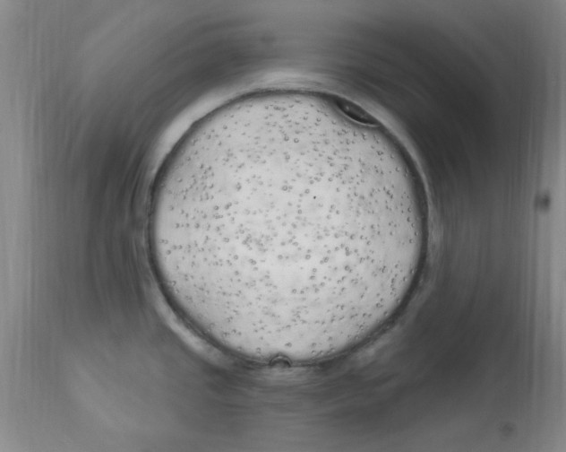 X0000113961437200910232019