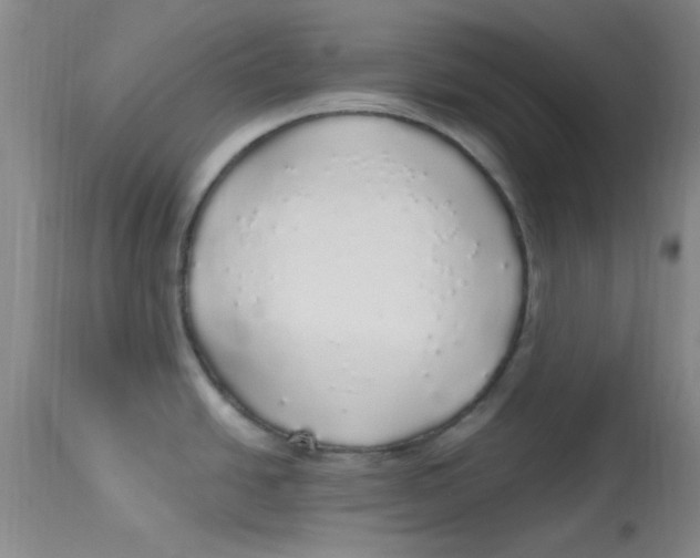 X0000113961438200910232019