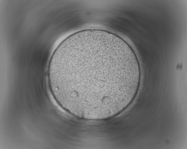 X0000113961440200910232019