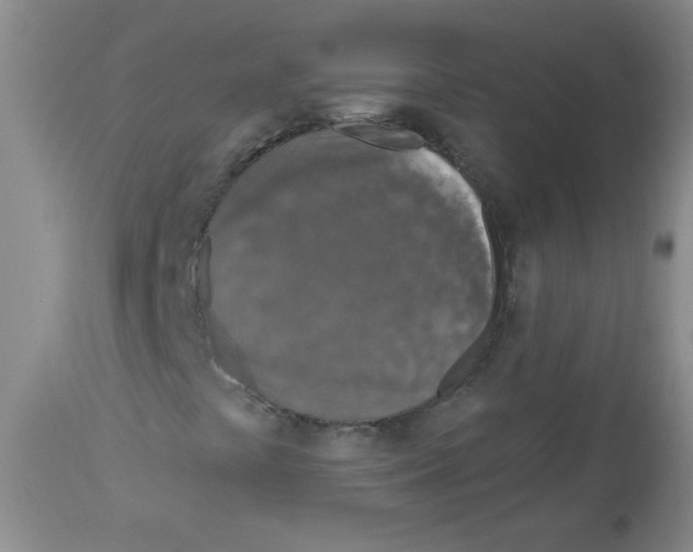 X0000113961441200910232018