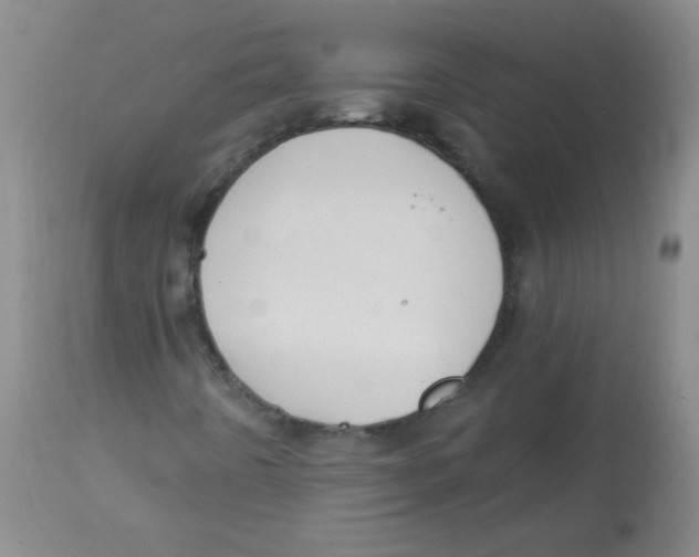 X0000113961442200910232018