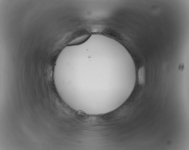 X0000113961443200910232018