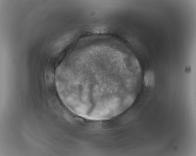 X0000113961444200910232018