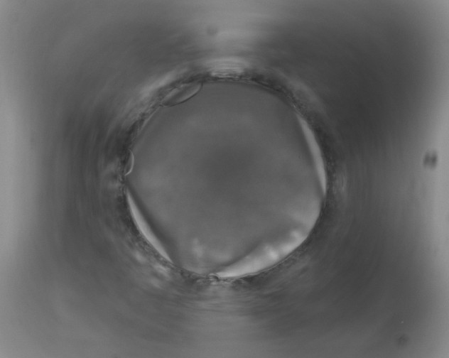 X0000113961445200910232018