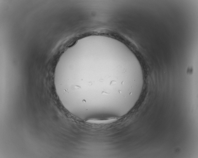 X0000113961447200910232018