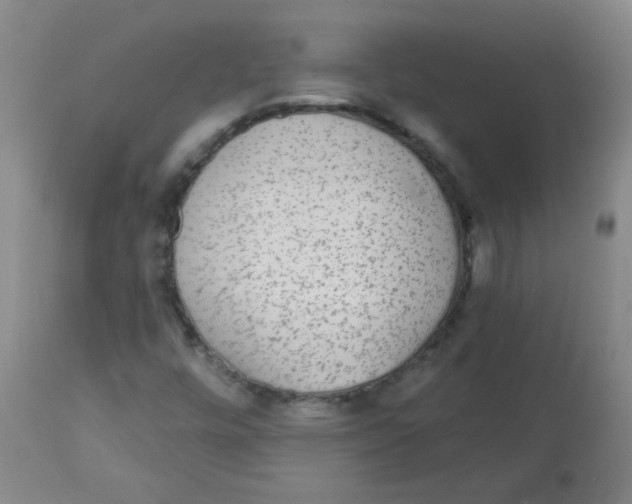 X0000113961448200910232018