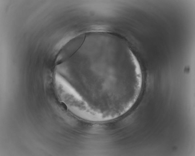 X0000113961449200910232018