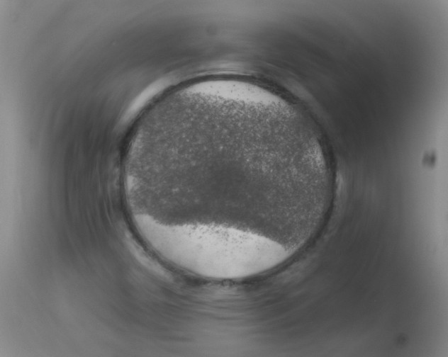 X0000113961450200910232018