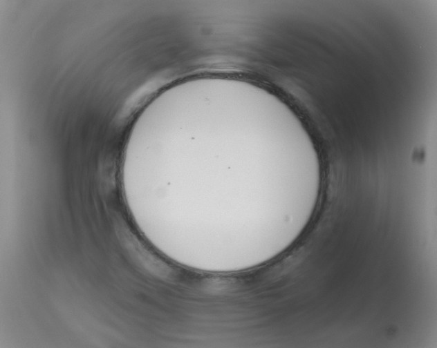 X0000113961451200910232018