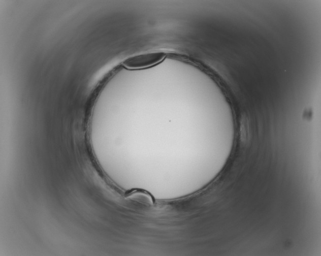 X0000113961452200910232018