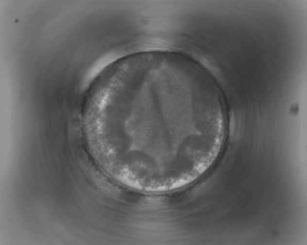 X0000113961453200910232018