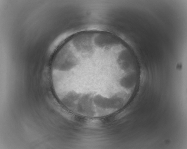 X0000113961454200910232018