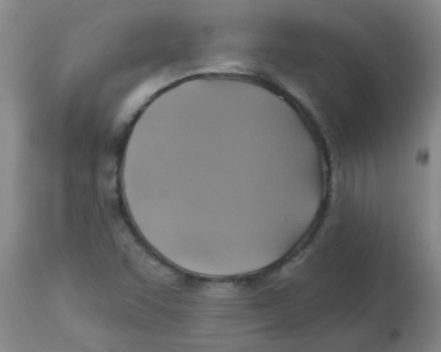 X0000113961455200910232018