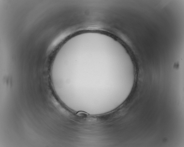 X0000113961456200910232018