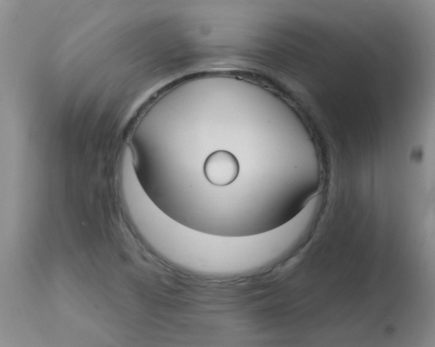 X0000113961457200910232018