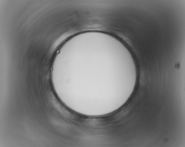 X0000113961458200910232018