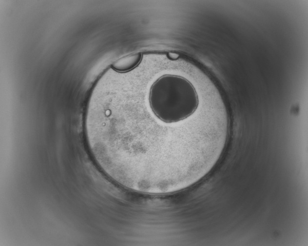 X0000113961459200910232018