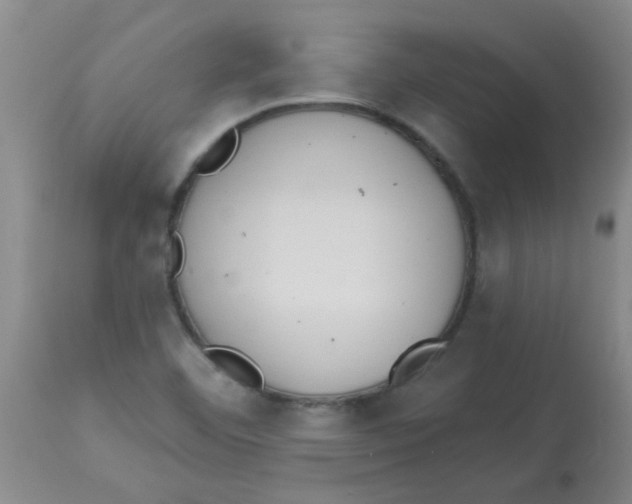 X0000113961460200910232018