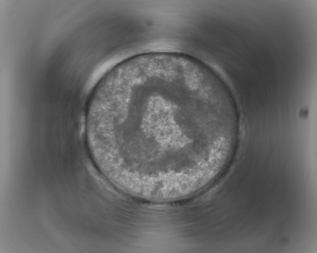 X0000113961461200910232018