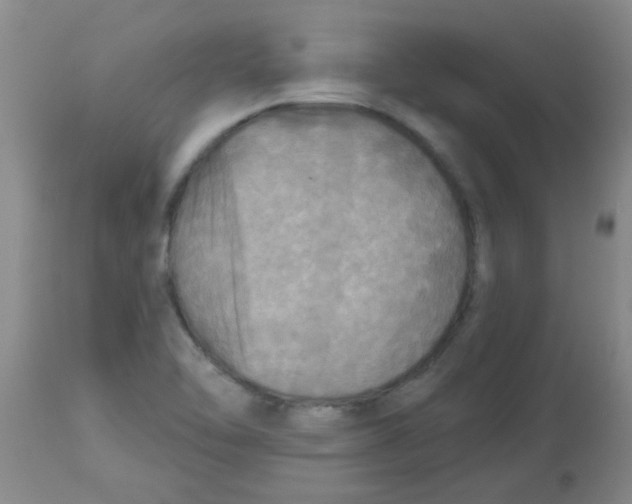 X0000113961462200910232018