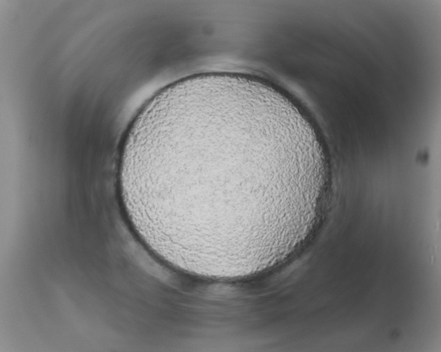 X0000113961463200910232018