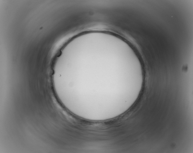 X0000113961464200910232018