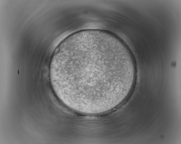 X0000113961465200910232018