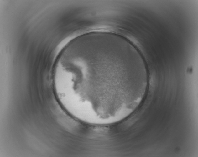 X0000113961466200910232018