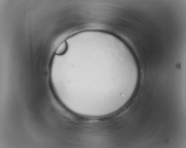 X0000113961467200910232018