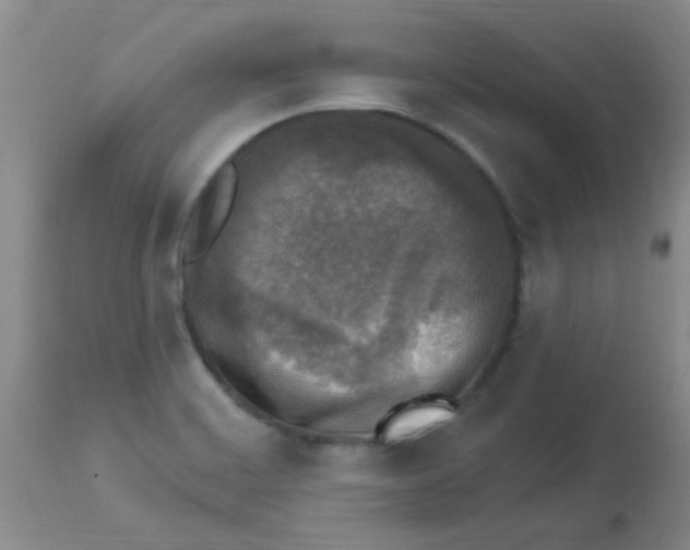 X0000113961468200910232018