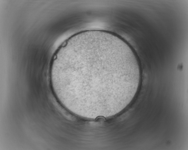 X0000113961469200910232018