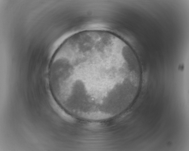 X0000113961470200910232018